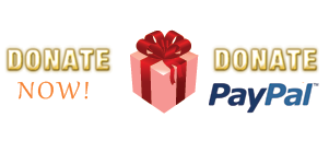donate button